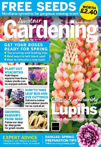 Amateur Gardening March 18th, 2023 Digital Back Issue Cover