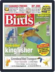 Cage & Aviary Birds (Digital) Subscription                    March 15th, 2023 Issue