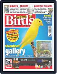 Cage & Aviary Birds (Digital) Subscription                    March 22nd, 2023 Issue