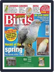 Cage & Aviary Birds (Digital) Subscription                    March 29th, 2023 Issue