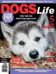 Dogs Life (Digital) Subscription                    January 1st, 2018 Issue