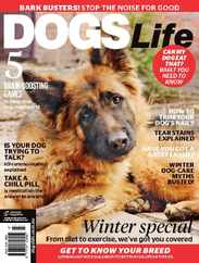 Dogs Life (Digital) Subscription                    July 1st, 2017 Issue