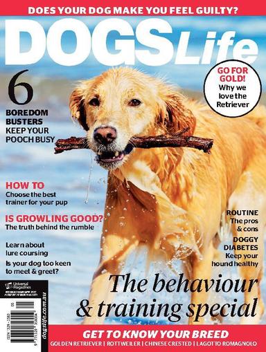 Dogs Life February 1st, 2017 Digital Back Issue Cover