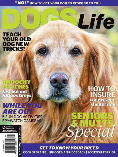 Dogs Life August 20th, 2015 Digital Back Issue Cover