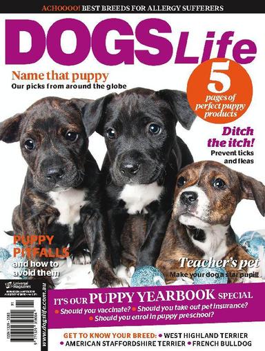 Dogs Life December 18th, 2014 Digital Back Issue Cover