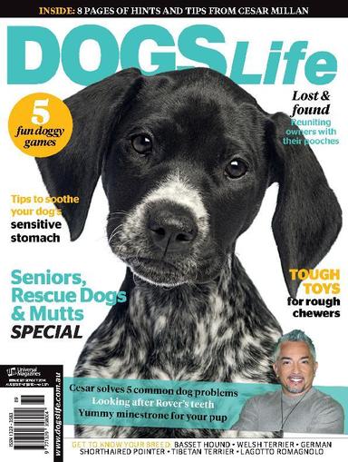 Dogs Life August 25th, 2014 Digital Back Issue Cover