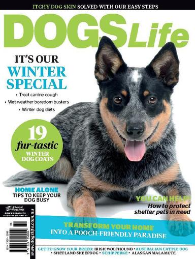Dogs Life June 17th, 2014 Digital Back Issue Cover