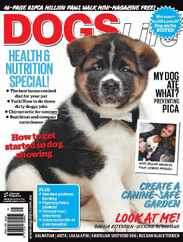 Dogs Life (Digital) Subscription                    April 18th, 2012 Issue