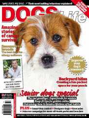 Dogs Life (Digital) Subscription                    November 22nd, 2011 Issue