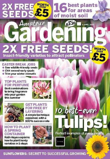 Amateur Gardening April 8th, 2023 Digital Back Issue Cover