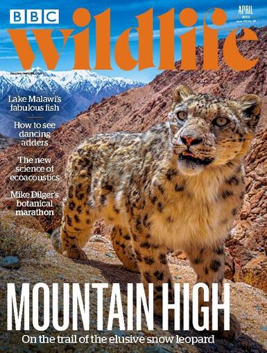 Bbc Wildlife April 1st, 2023 Digital Back Issue Cover