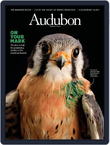 Audubon April 2nd, 2023 Digital Back Issue Cover