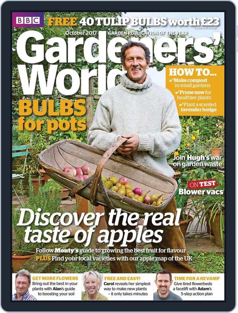 How To Grow Lavender  BBC Gardeners World Magazine