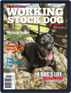 Australian Working Stock Dog Digital Subscription Discounts