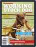 Australian Working Stock Dog