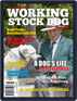 Australian Working Stock Dog Digital