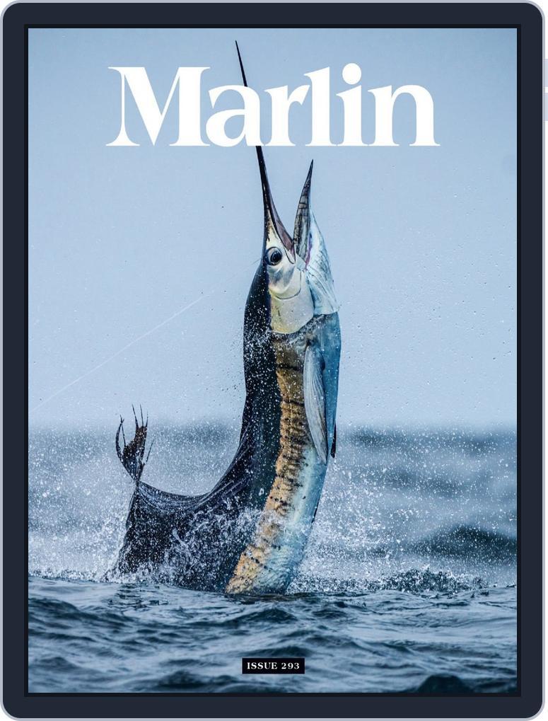 Marlin January/February 2026 (Digital) - DiscountMags.com