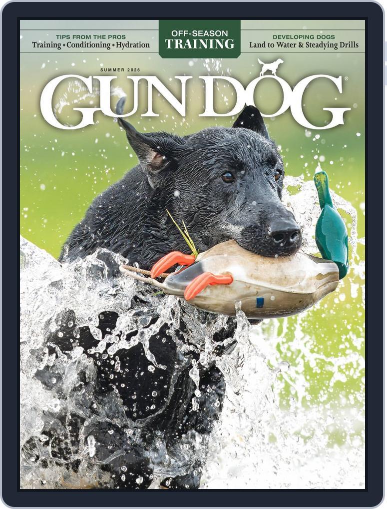 Gun Dog Summer 2026 (Digital) - DiscountMags.com