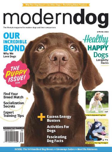 https://img.discountmags.com/products/extras/10016-modern-dog-cover-2023-march-1-issue.jpg?auto=format&cs=strip&h=509&lossless=true&w=387&s=b61cd5e91943ee210117324b17682535