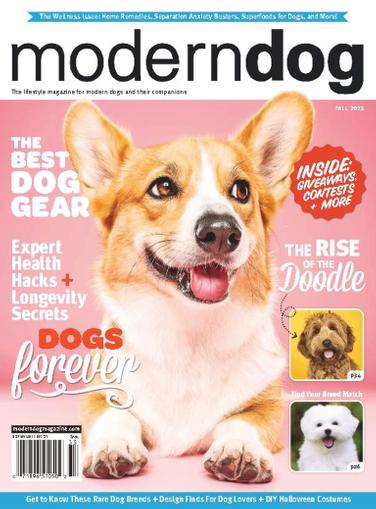 Smart Dog Toys  Modern Dog magazine