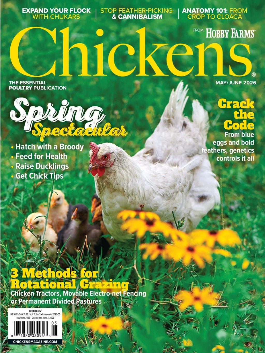 Chickens Magazine Subscription                    May 1st, 2026 Issue