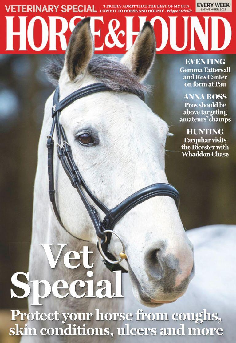 Horse & Hound 01-Nov-2018 (Digital) - DiscountMags.com