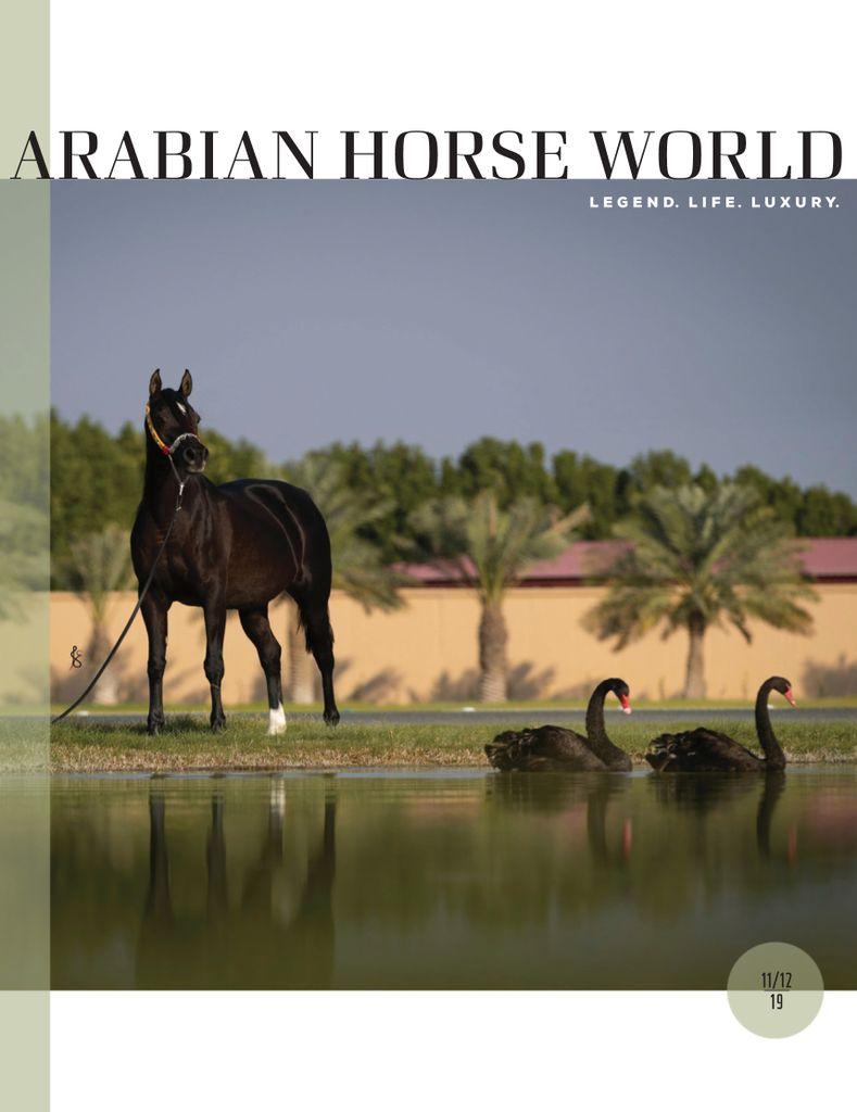 Arabian Horse World November - December 2019 (Digital)