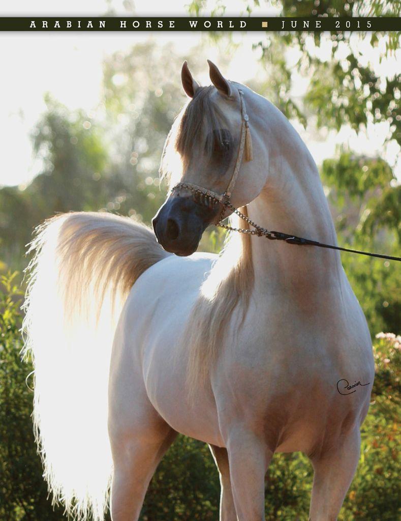 Arabian Horse World June 2015 (Digital) - DiscountMags.com