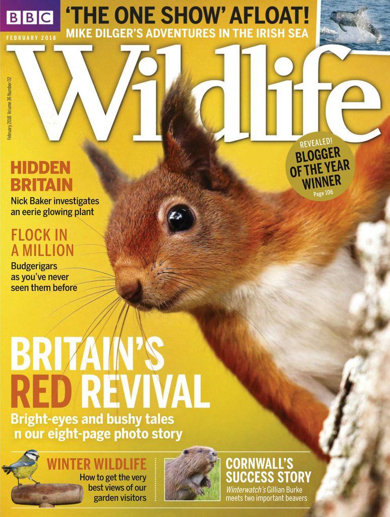 Bbc Wildlife February 2018 (Digital) - DiscountMags.com