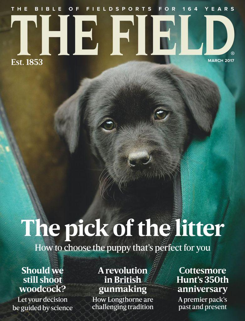 The Field March 2017 Digital DiscountMags