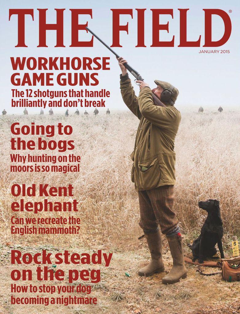 Haile shotte peics FOR GAMEBIRDS | - DiscountMags.com