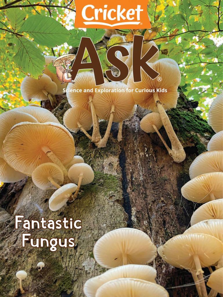 Ask Magazine Subscription Discount | Arts &amp; Sciences for Kids ...