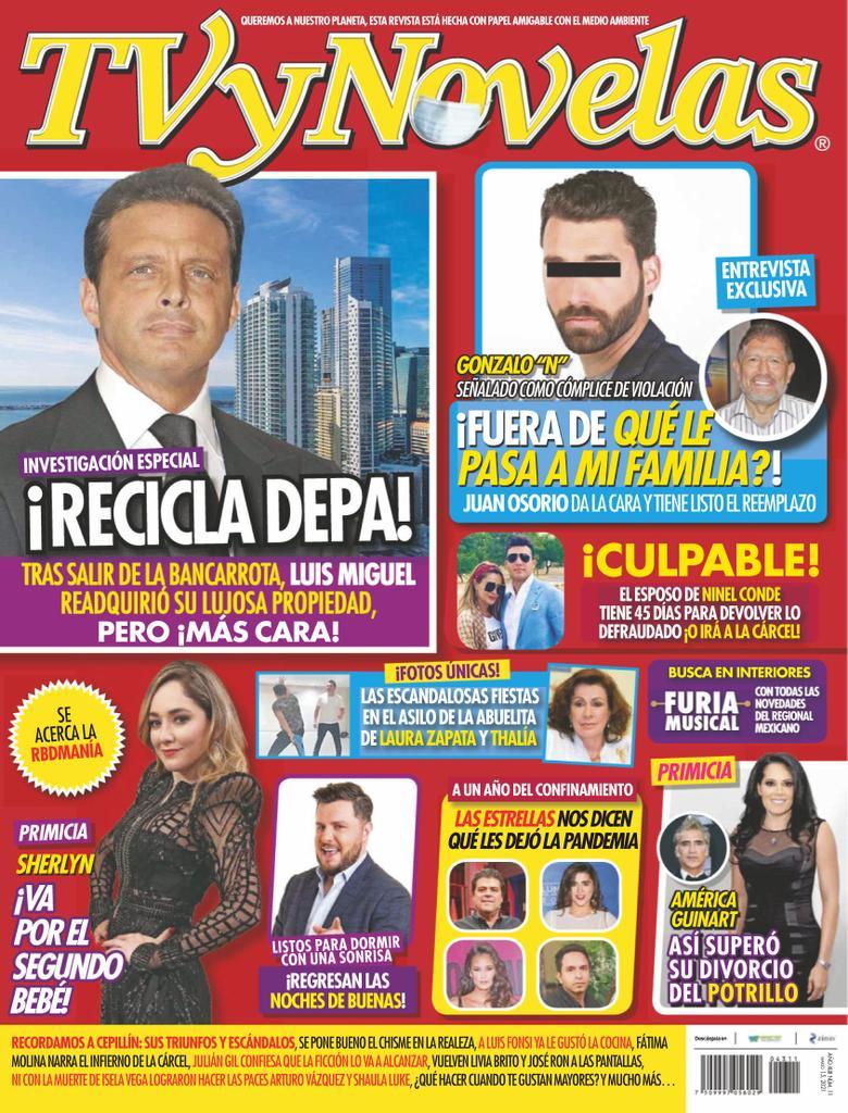 TV y Novelas M xico 4311 Digital DiscountMags.ca