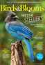 Birds & Blooms Magazine Subscription Discount - DiscountMags.com