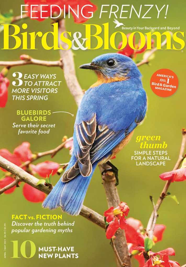 Birds & Blooms Magazine Subscription Discount - DiscountMags.com