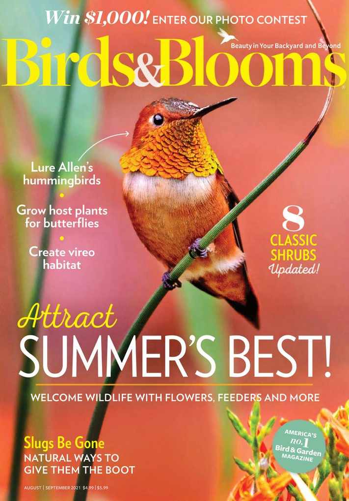 Birds & Blooms Magazine Subscription Discount - DiscountMags.com