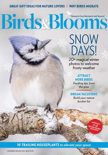 Birds & Blooms (December 2025-January 2026)