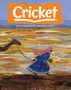 Cricket Subscription Deal