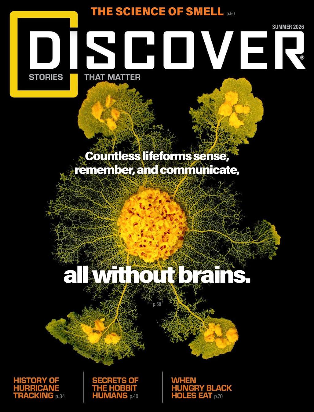 product photo of Discover