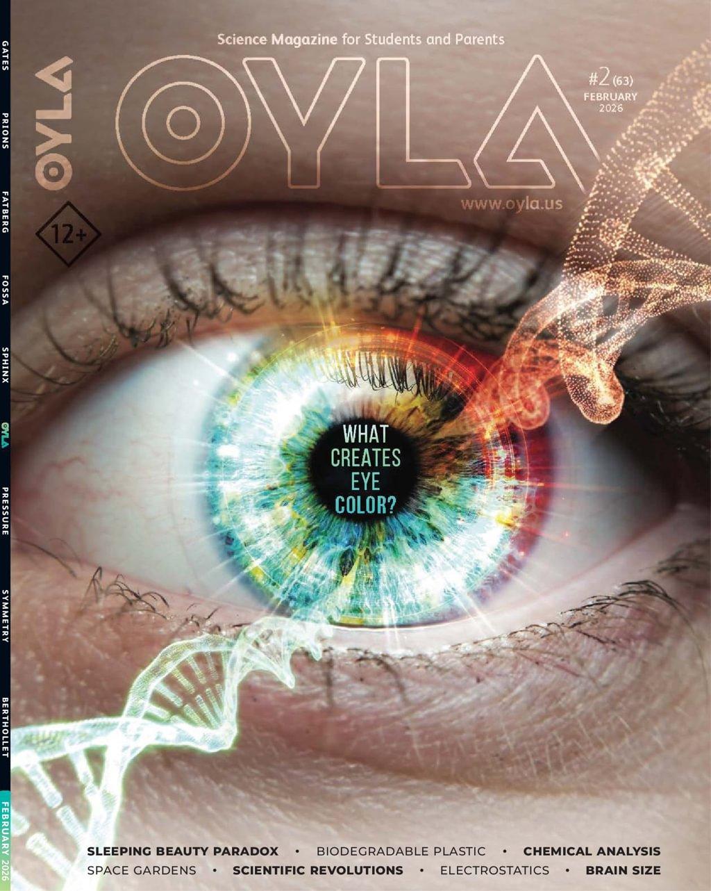 Oyla Magazine Subscription
