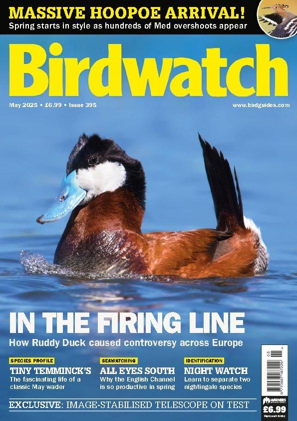Birdwatch (Digital) product thumbnail