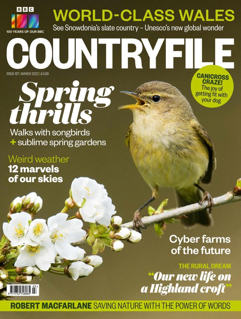 countryfile bird food