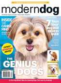 Modern Dog Canada