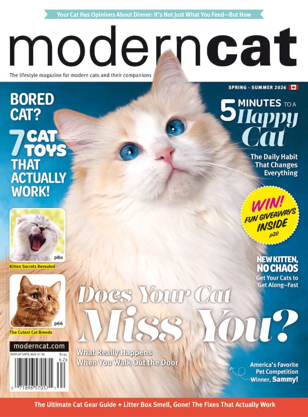 Modern Cat Canada