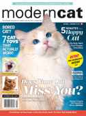 Modern Cat Canada
