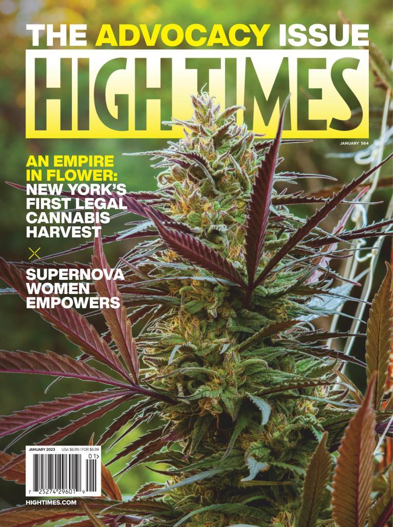 High Times Magazine Subscription Discount | Your Guide To Cannabis ...