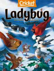 Ladybug Magazine Subscription                    November 1st, 2022 Issue