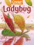 Ladybug Discount