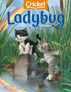 Ladybug Magazine Subscription