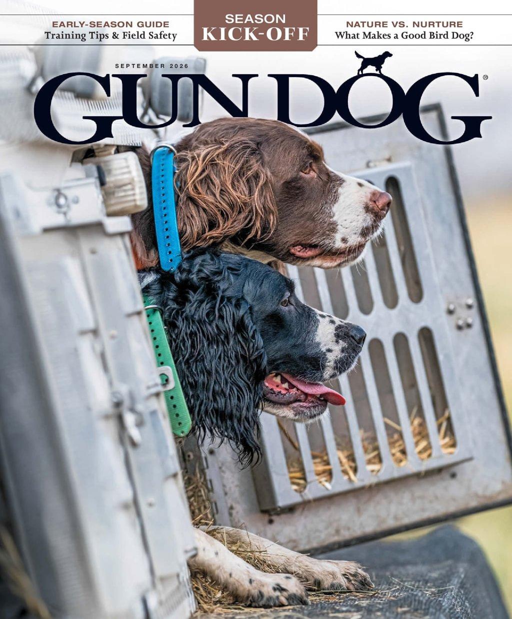 Gun Dog